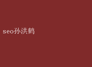 SEO大师孙洪鹤揭秘：优化技巧与实战策略 seo孙洪鹤