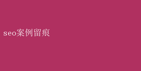 seo案例留痕 SEO实战案例：揭秘高效留痕策略，提升搜索排名