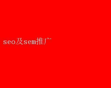 seo及sem推广 SEO与SEM推广策略解析