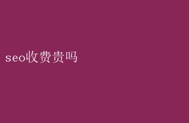 seo收费贵吗 SEO服务费用：贵吗？一文解析